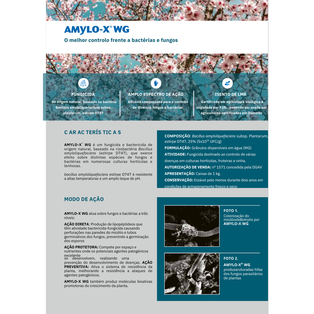 Amylo-X® WG | 1 KG