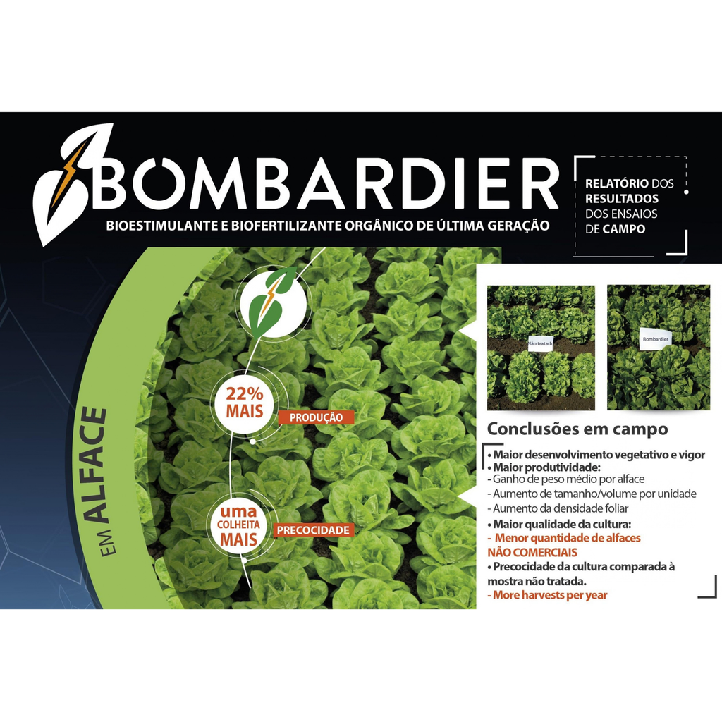 Bombardier® | 1 L