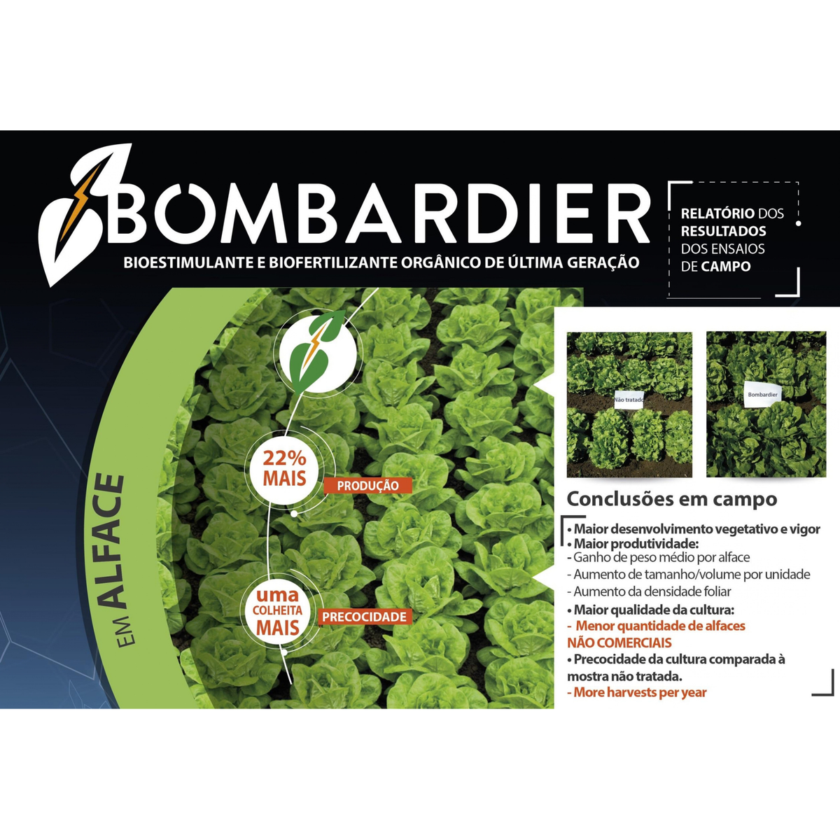 Bombardier® | 1 L